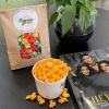 Popcorn Passion - Popcorn UAE