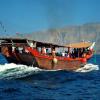 Khasab Musandam Tours