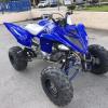 Yamaha Rapter 700R