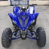 Yamaha Rapter 700R