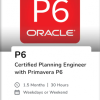 Primavera P6 Training Certification Course in Qatar