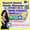  Chemical Globally Wholesales  1971007-93-8 