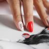 Nbar - Luxury Nail Salon & Nail Spa