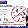 Pest Control Services In all Over Qatar