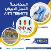 Anti-Termite Treatment Control Services In Doha Qatar