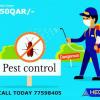 Cockroach & Bed Bugs Control Services In Wakra Qatar