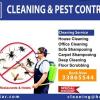 Bed Bugs Control Services For Residence In Qatar
