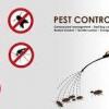 Professional Bedbugs Control in Doha Qatar