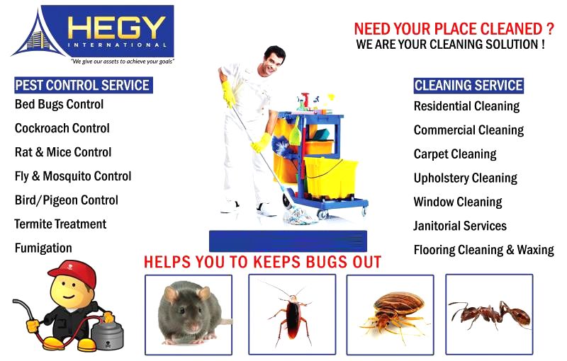 Qatar Roaches and bugs control treatment for doha qatar
